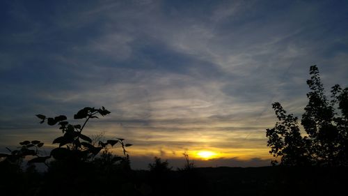 Silhouette trees on landscape against sky at sunset