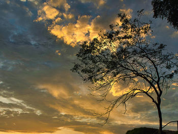 Low angle view of silhouette tree against sky during sunset