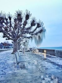 Scenic view of sea against sky during winter