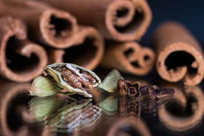 Close-up of shells