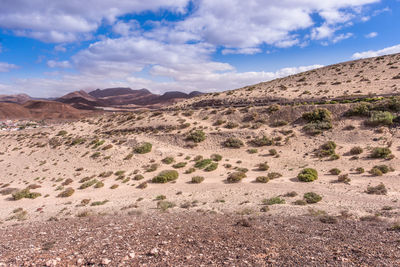 Scenic view of desert against sky