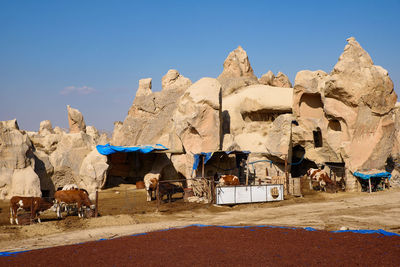 Panoramic view of a desert