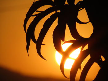 Close-up of silhouette leaf against sky during sunset