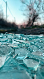 Close-up of frozen water surface