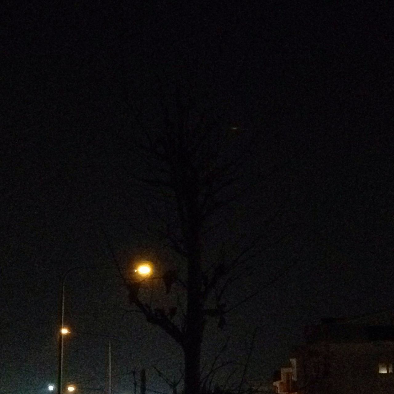 night, illuminated, low angle view, street light, silhouette, lighting equipment, tree, dark, sky, clear sky, dusk, moon, electricity, bare tree, built structure, copy space, building exterior, outdoors, electric light, architecture