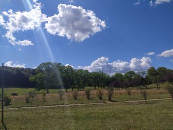 Scenic view of field against sky