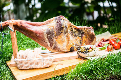 Pork on cutting board over grass