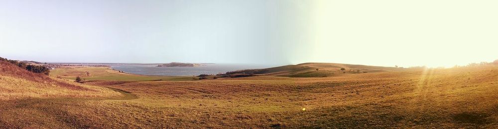 Scenic view of landscape against clear sky