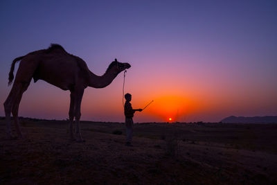 Silhouette of children at sunset