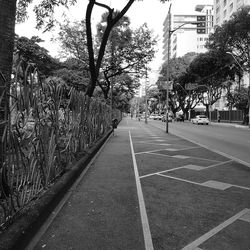 Road amidst trees in city against sky