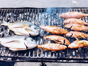 High angle view of fish on barbecue grill
