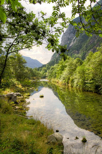 Scenic view of lake amidst trees