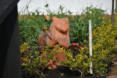 Close-up of statue against plants