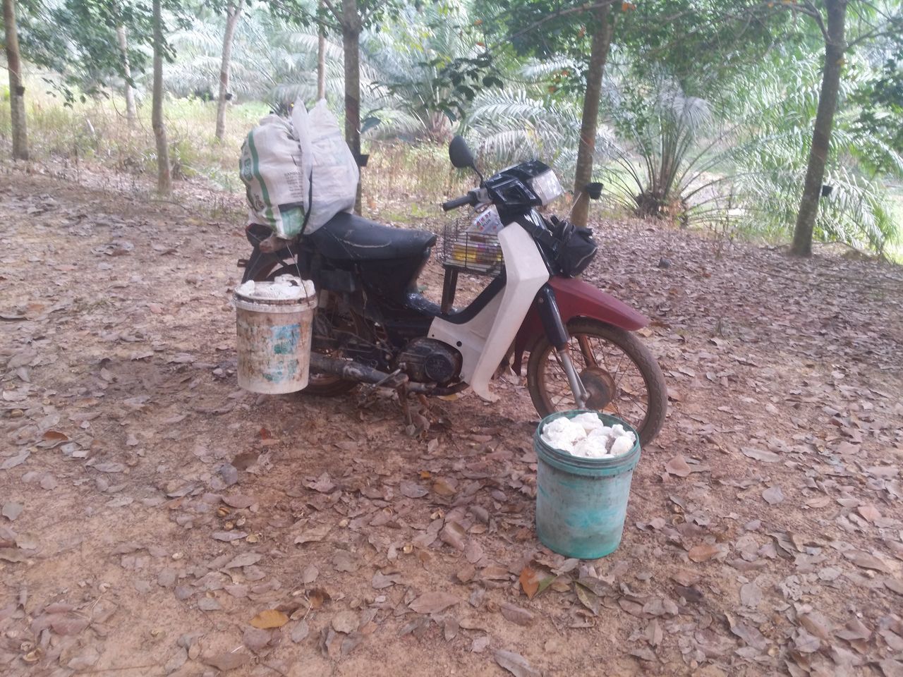 GARBAGE BIN IN FOREST