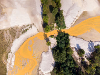 High angle view of trees on landscape