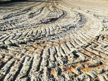 High angle view of tire tracks on land