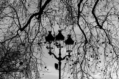 Low angle view of bare trees against sky