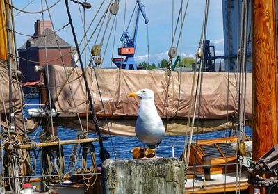 nautical vessel