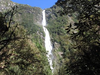 Low angle view of waterfall in forest