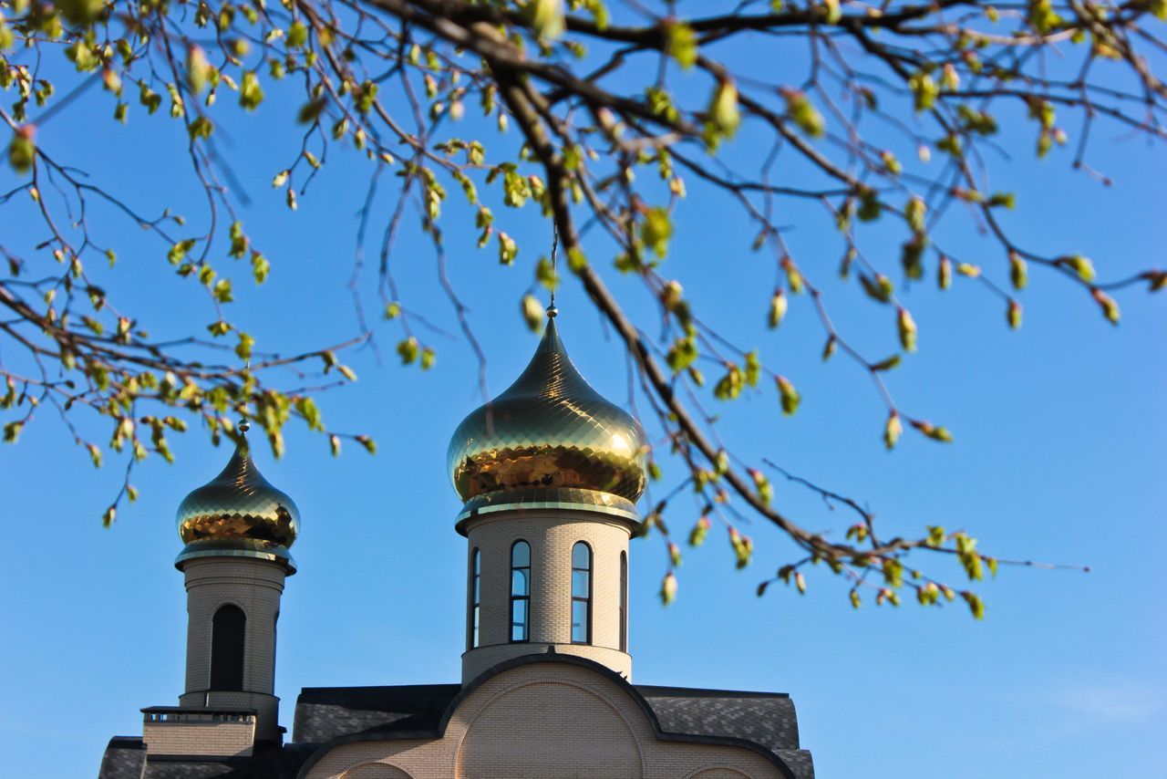 building exterior, architecture, low angle view, built structure, place of worship, religion, church, high section, spirituality, tower, branch, sky, tree, clear sky, blue, dome, day, outdoors