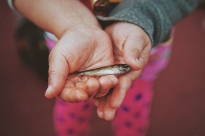 Cropped image of woman holding hands