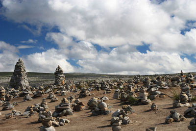 Flock of sheep against sky