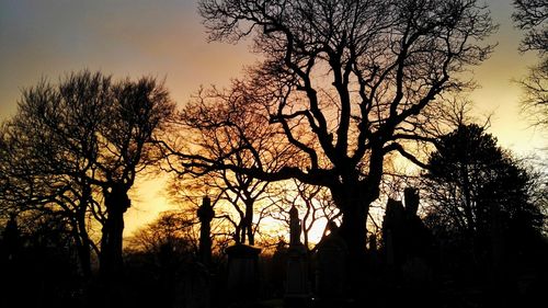 Silhouette trees against sky during sunset