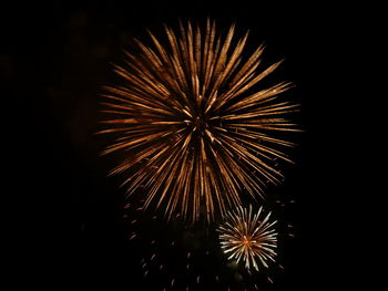 Low angle view of firework display against sky at night