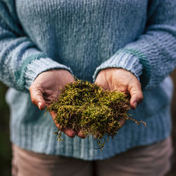 Close-up of man holding plant