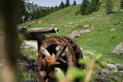 Abandoned truck on field against trees