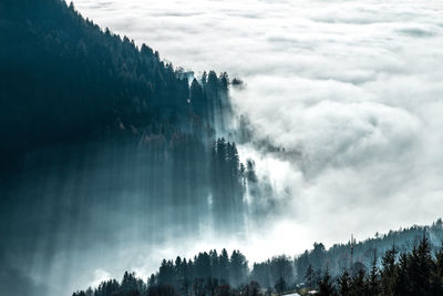 Panoramic view of forest against sky