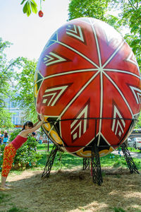 Close-up of red flower