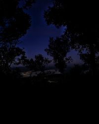 Low angle view of silhouette trees against sky at night