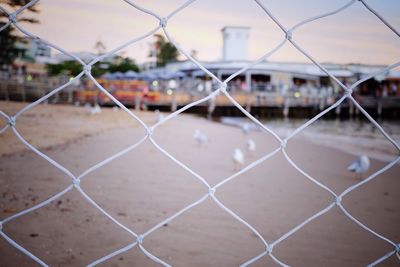 Close-up of chainlink fence