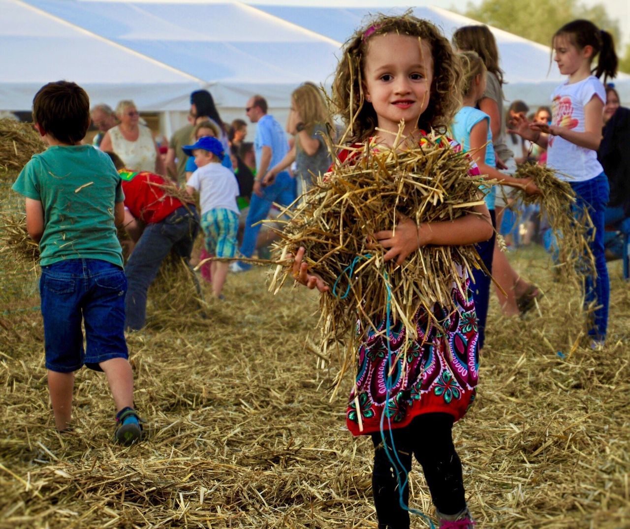 On the Festival