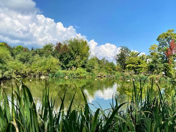 Scenic view of lake against sky