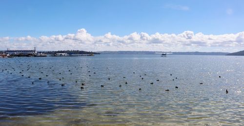 Scenic view of sea against blue sky