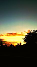 Silhouette of trees at sunset