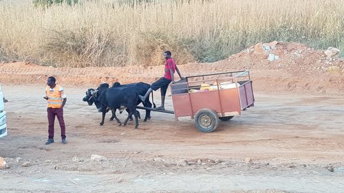 People riding horse cart