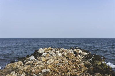 Scenic view of sea against clear sky