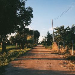 Empty road along trees and plants against sky