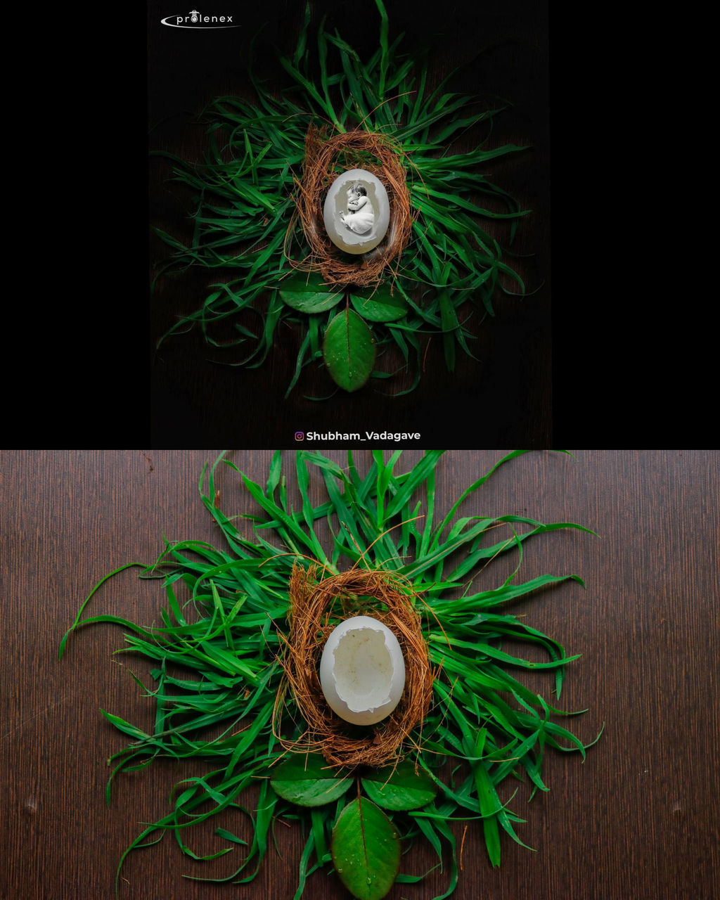 DIRECTLY ABOVE SHOT OF PLANT IN CONTAINER ON TABLE