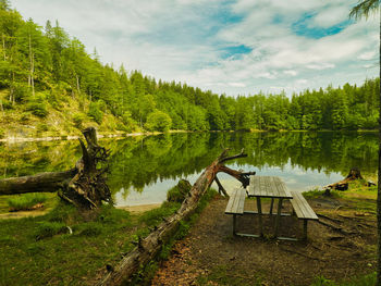 Scenic view of lake amidst trees in forest against sky