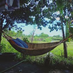 Low section of hammock on beach against trees