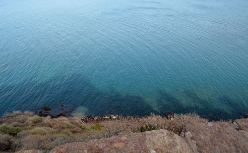 High angle view of sea shore