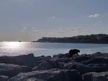 View of a rock in sea