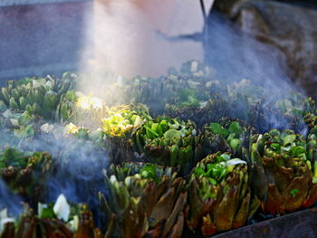 Close-up of artichokes with smoke