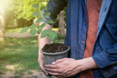 Midsection of man holding plant