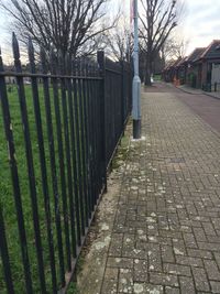 Narrow walkway along trees