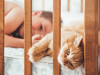 Cat relaxing on floor